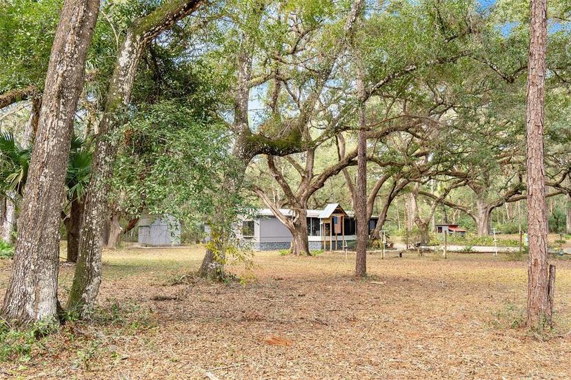 Picture of 7850 Ne 178 Terrace, Williston, FL 32696