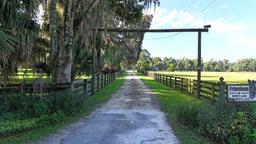 Picture of 12490 NW Highway 320, Micanopy, FL 32667