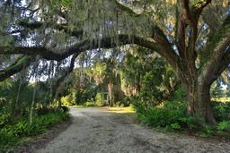 Picture of 12490 NW Highway 320, Micanopy, FL 32667