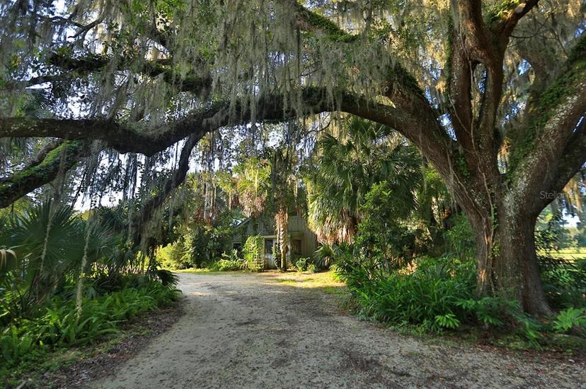 Picture of 12490 NW Highway 320, Micanopy FL 32667