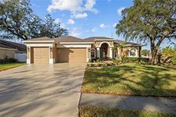 Picture of 10101 Paddock Oaks Drive, Riverview, FL 33569