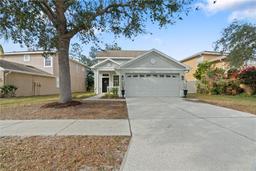 Picture of 21339 Morning Mist Way, Land O Lakes, FL 34637