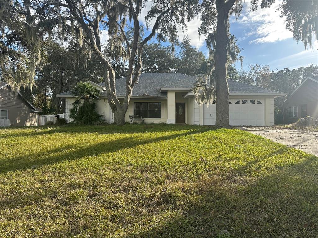 Picture of 10144 Silver Bluff Drive, Leesburg, FL 34788