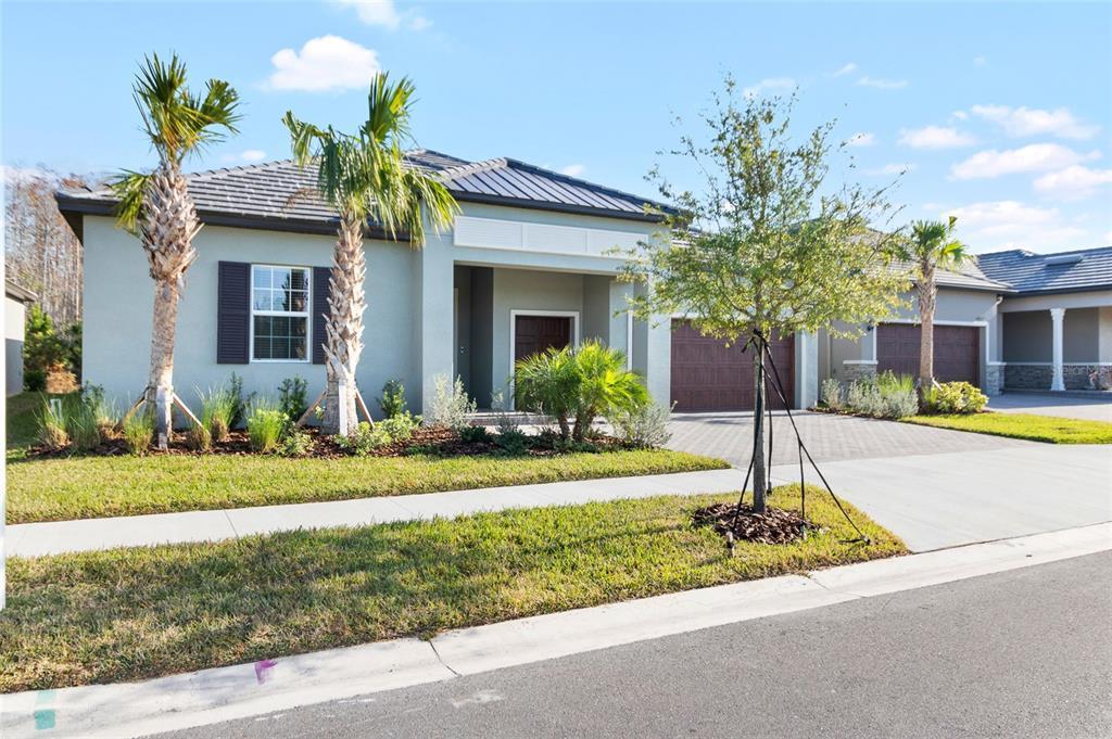 Picture of 10864 Banyan Breeze Boulevard, Land O Lakes, FL 34638