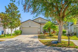 Picture of 11652 Palmetto Pine Street, Riverview, FL 33569