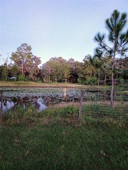 Picture of 13621 Mcintosh Road, Thonotosassa, FL 33592