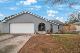 Picture of 1009 Black Knight Drive, Valrico, FL 33594