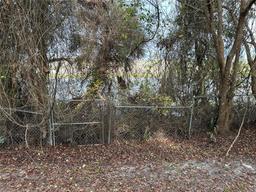 Picture of 695 Macy Avenue, Lake Helen, FL 32744