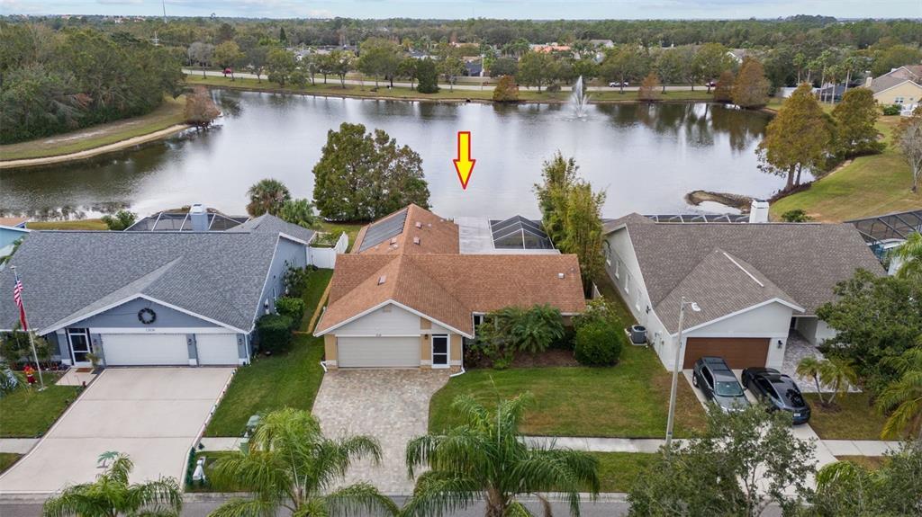 Picture of 12038 Steppingstone Boulevard, Tampa, FL 33635