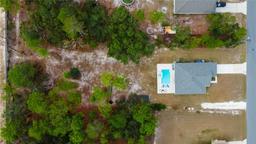 Picture of 10260 Meadow Wren Avenue, Weeki Wachee, FL 34613