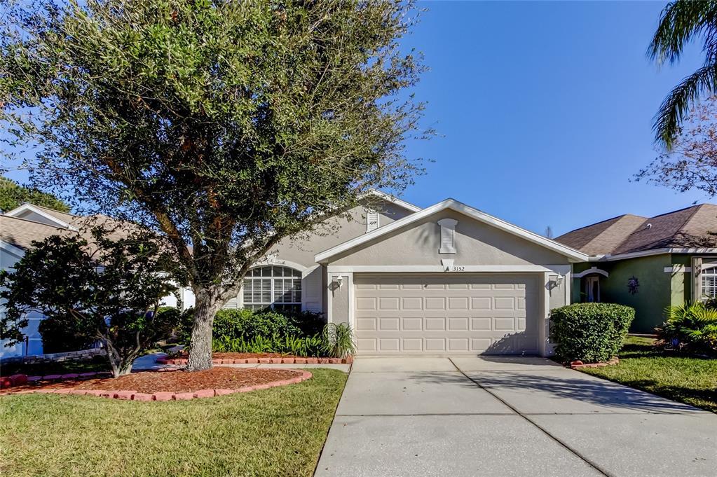 Picture of 3152 Banyan Hill Lane, Land O Lakes, FL 34639