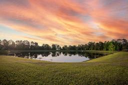 Picture of 2937 Hooded Crane Cove, Harmony, FL 34773