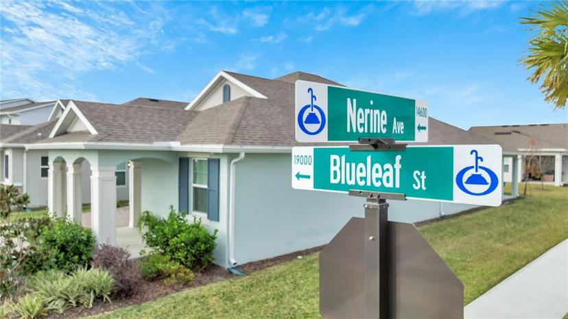 Picture of 19041 Blueleaf Street, Orlando FL 32827