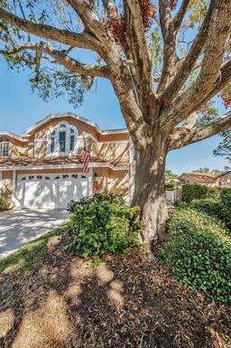 Picture of 1929 Northfork Circle, Clearwater, FL 33760