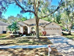 Picture of 1529 Rolling Meadow Drive, Valrico, FL 33594