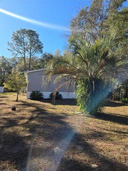 Picture of 19050 SW 49Th Place, Dunnellon, FL 34432