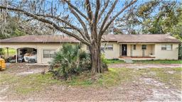 Picture of 10809 Bartolotti Loop, Seffner, FL 33584