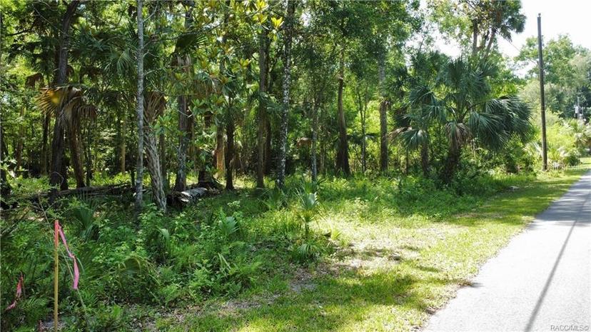 Picture of 5303 S Parkland Terrace, Homosassa FL 34448