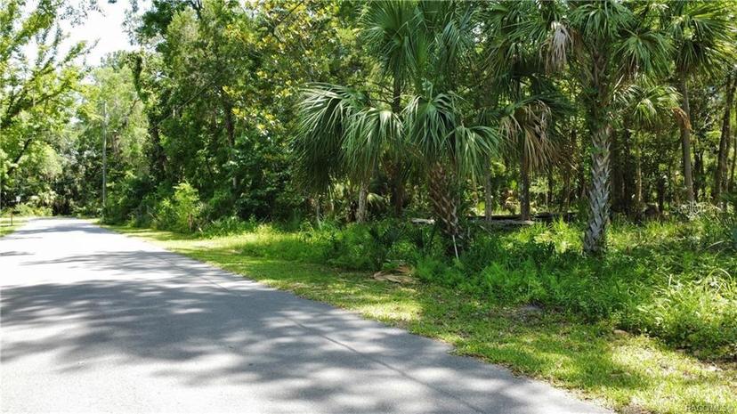 Picture of 5303 S Parkland Terrace, Homosassa FL 34448