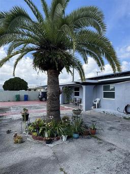 Picture of 3565 NW 81 Terrace, Miami, FL 33147