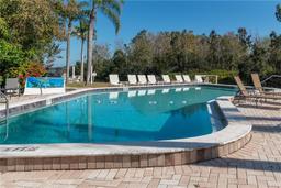 Picture of 2511 Dolly Bay Drive Unit 303, Palm Harbor, FL 34684