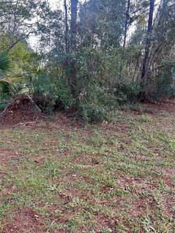 Picture of 44510 Sunset Trail, Deland, FL 32720