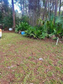 Picture of 44510 Sunset Trail, Deland, FL 32720