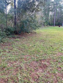 Picture of 44510 Sunset Trail, Deland, FL 32720