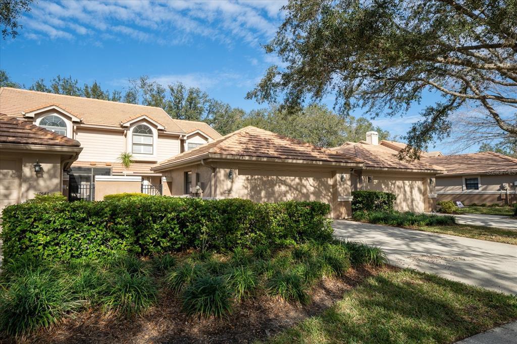 Picture of 17546 Fairmeadow Drive, Tampa, FL 33647