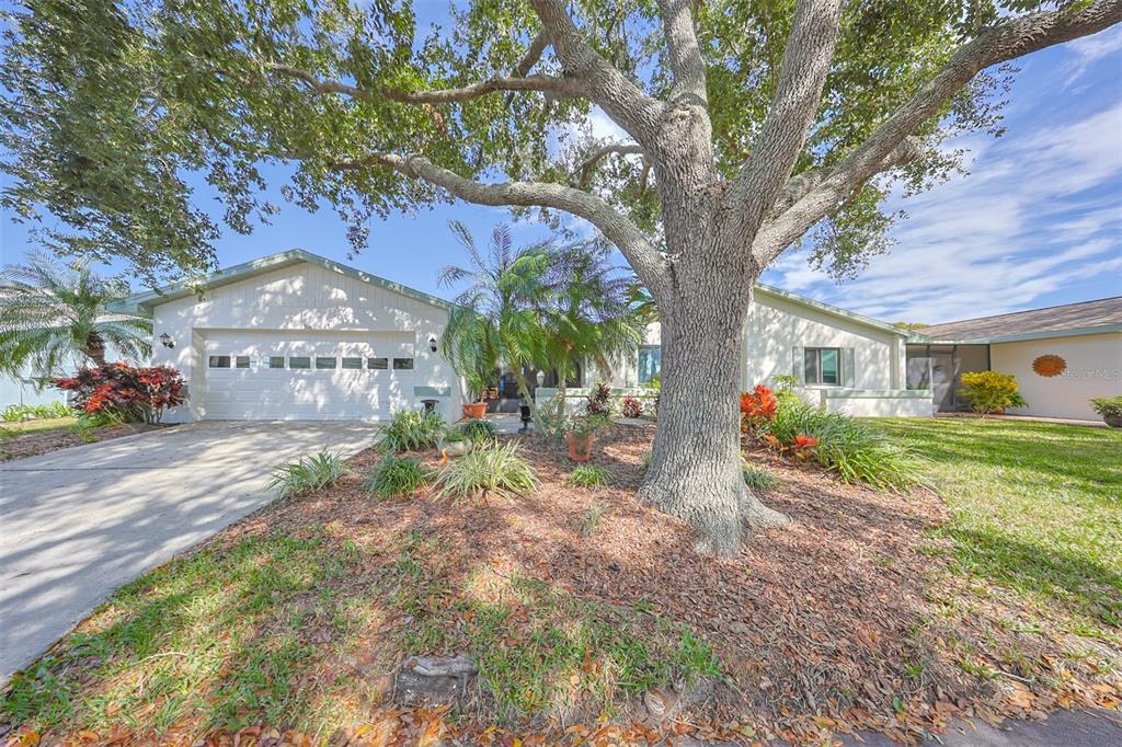 Picture of 1318 Leland Drive, Sun City Center, FL 33573