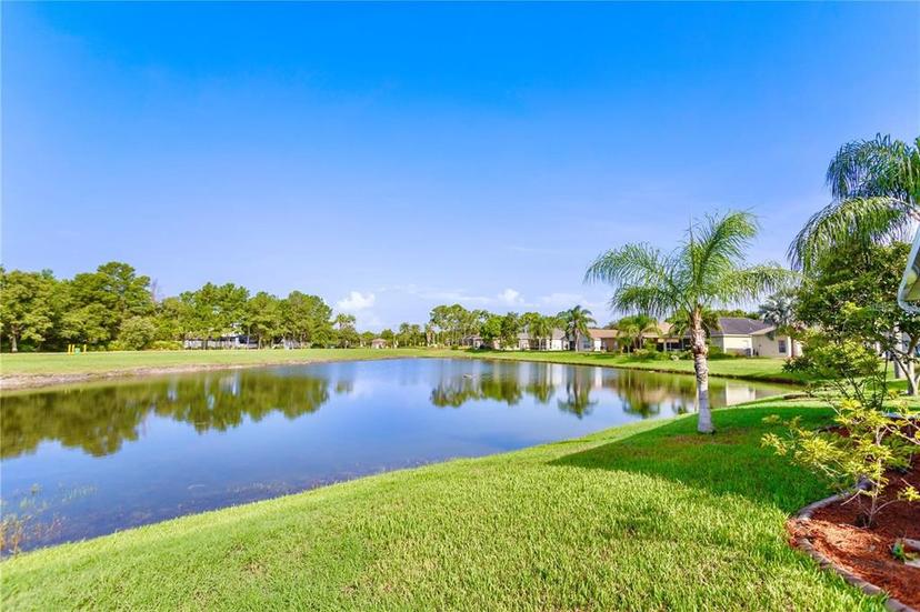 Picture of 2902 Punta Palma Court, Holiday FL 34691