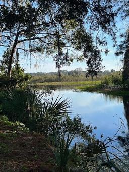 Picture of 22984 SW 117Th Street, Dunnellon, FL 34431