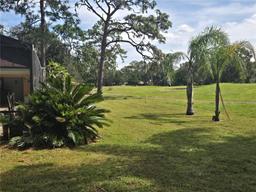 Picture of 2280 Toniwood Lane, Palm Harbor, FL 34685