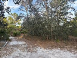 Picture of 473 Hobbs Drive, Venus, FL 33960