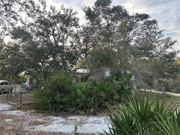 Picture of 473 Hobbs Drive, Venus, FL 33960