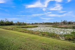 Picture of 10157 Bessemer Pond Court, Riverview, FL 33578