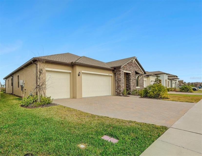 Picture of 8796 Little Bluestem Drive, Land O Lakes FL 34637