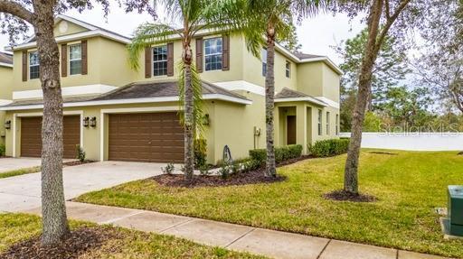 Picture of 8609 Fiddleleaf Court, Tampa FL 33647