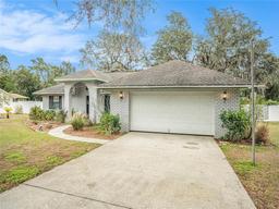 Picture of 1709 Happy Acres Lane, Valrico, FL 33594