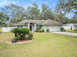 Picture of 1709 Happy Acres Lane, Valrico, FL 33594