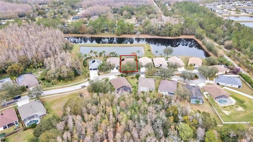 Picture of 19820 Morden Blush Drive, Lutz FL 33558