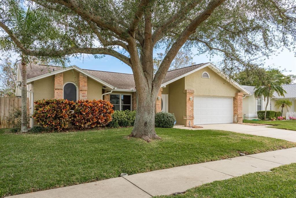 Picture of 3048 Orchard Drive, Palm Harbor, FL 34684