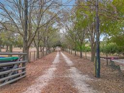 Picture of 17952 Lookout Hill Road, Winter Garden, FL 34787