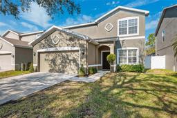 Picture of 12509 Bay Branch Court, Tampa, FL 33635