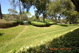 Picture of 36750 Us Highway 19 N Unit 23120, Palm Harbor, FL 34684