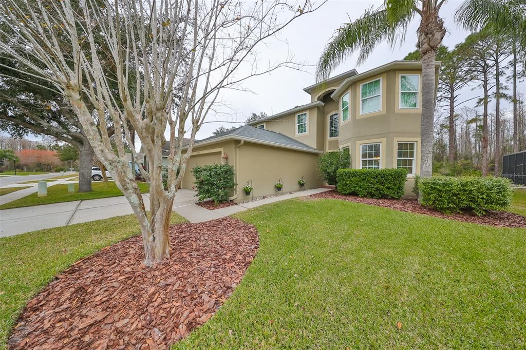 Picture of 12127 Luftburrow Lane, Hudson, FL 34669