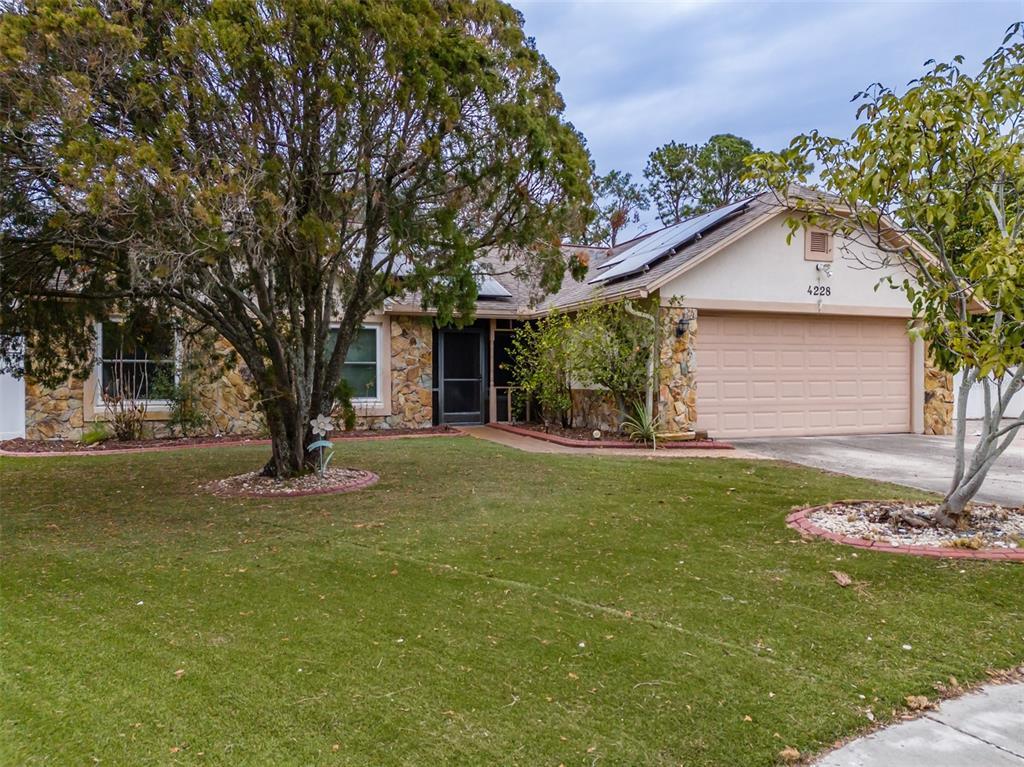 Picture of 4228 Spring Way Circle, Valrico, FL 33596