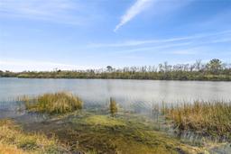 Picture of 18442 New London Avenue, Land O Lakes, FL 34638