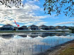 Picture of 11777 Crestridge Loop, New Port Richey, FL 34655