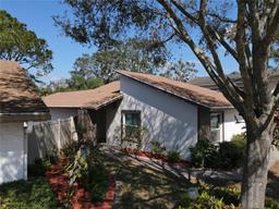 Picture of 10303 Chadbourne Drive, Tampa, FL 33624